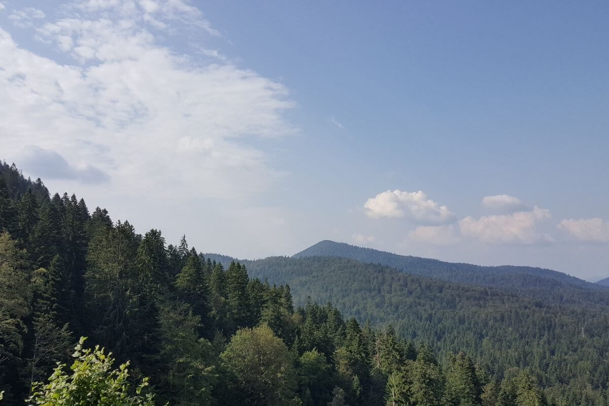 Vrh Bijela kosa