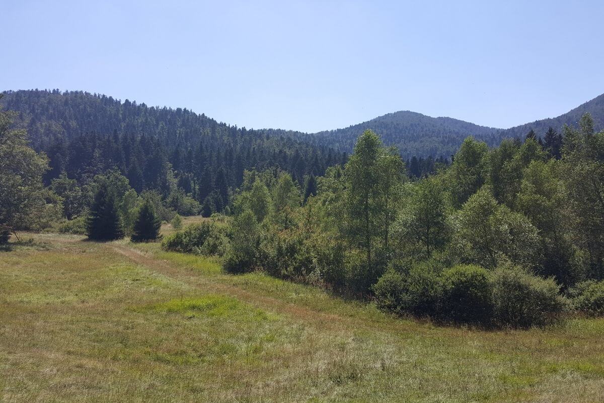 NP Risnjak