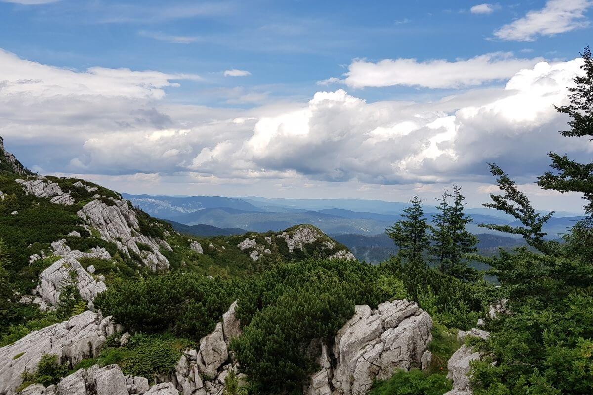 NP Risnjak