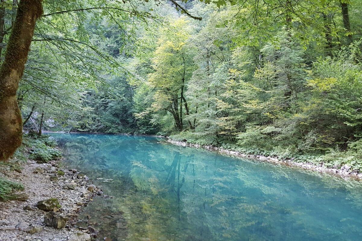 Izvor rijeke Kupe