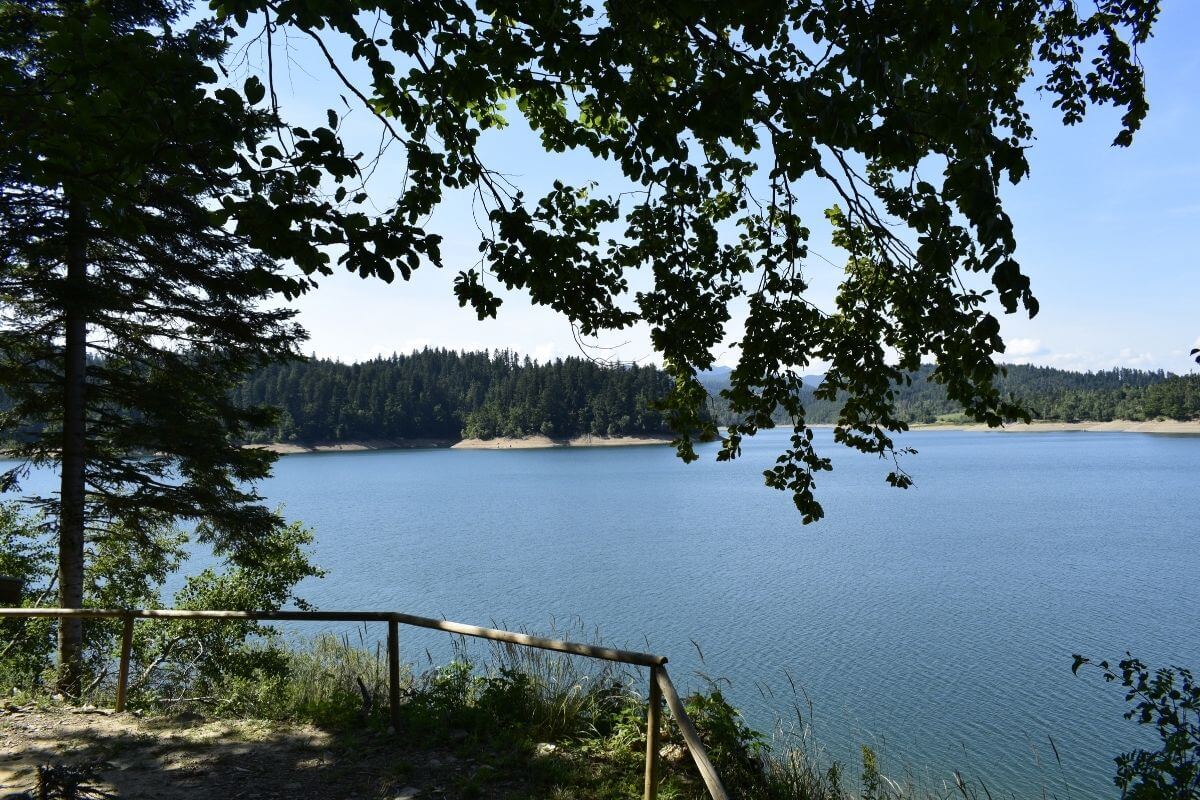 Jezero Lokve