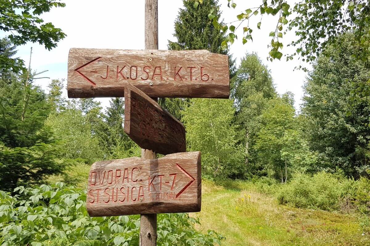 Vrh Javorova kosa