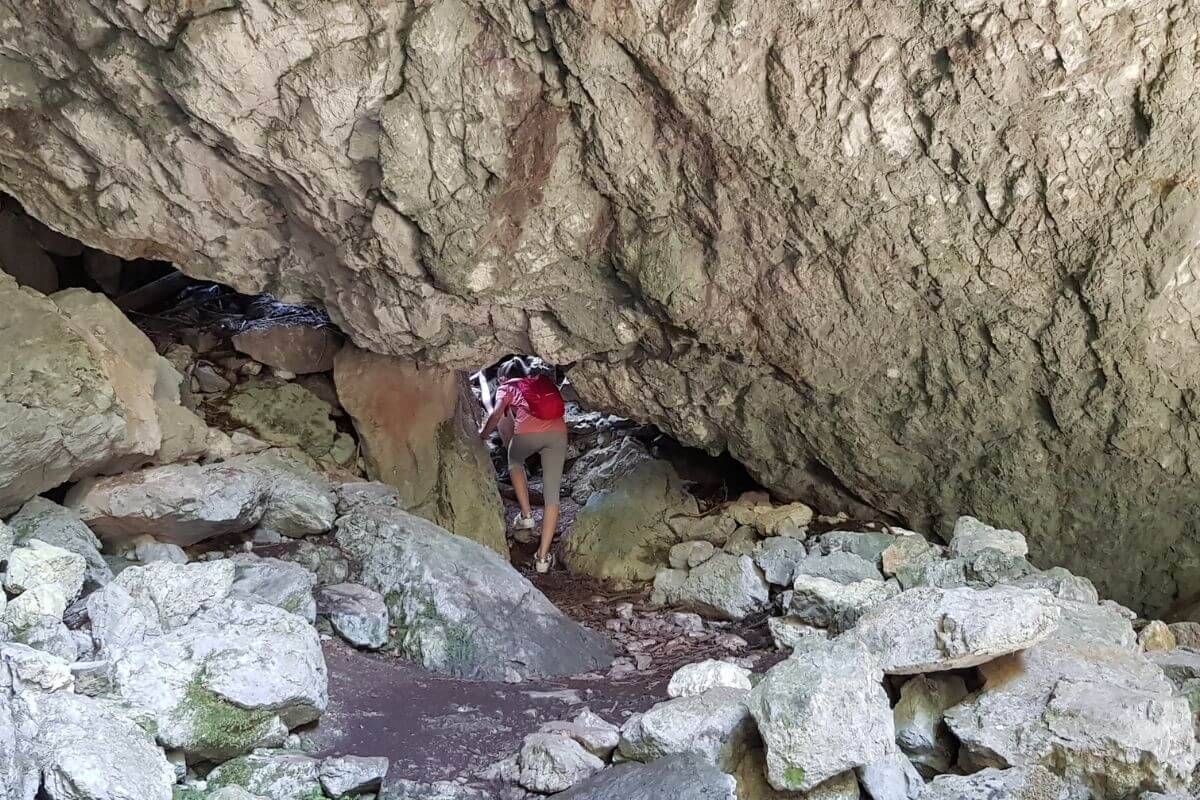 Park šuma Golubinjak