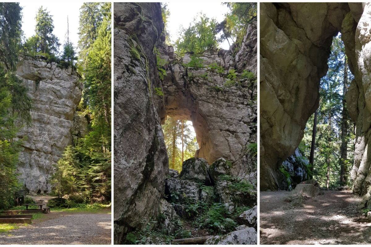 Park šuma Golubinjak