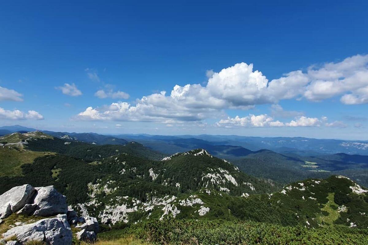 Snježnik