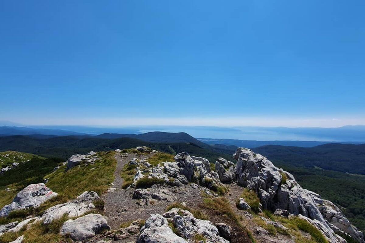 Snježnik